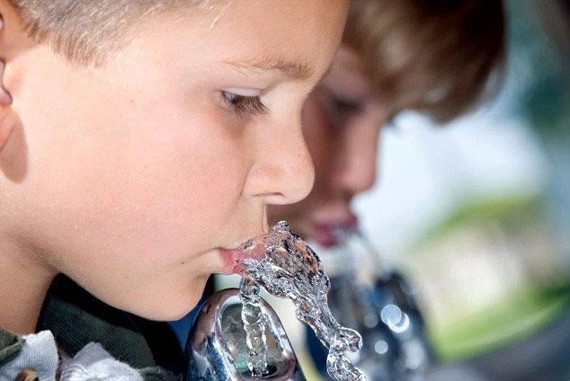 fuentes de agua para colegios y academias